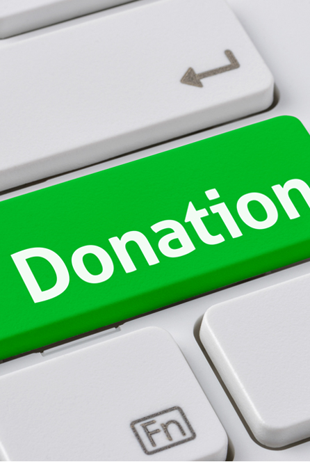 donation-page Lezli Baskerville